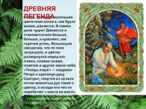 Презентация по биологии Папоротники 6 класс