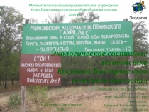 Презентация по экологии на тему:Экологическое состояние леса проект.