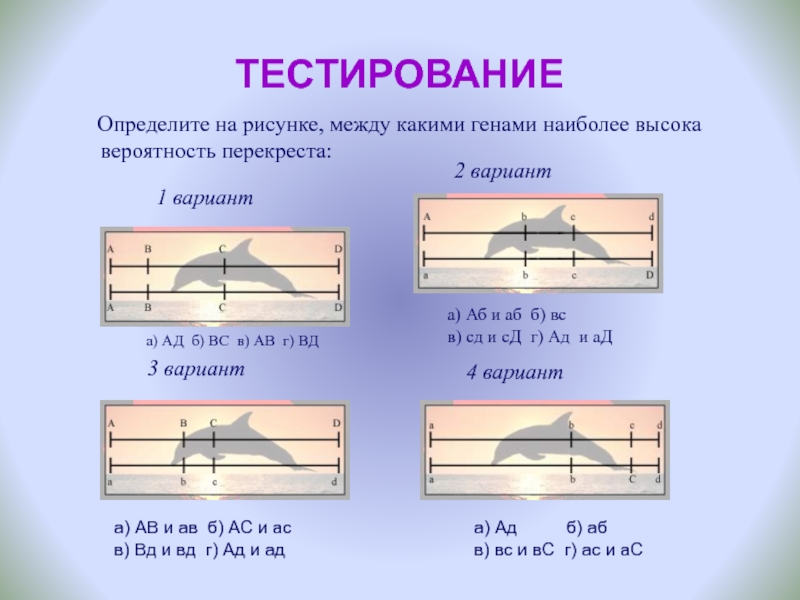 Узнать между. Определять. Параллельные варианты теста измеряют. Межа рисунок.