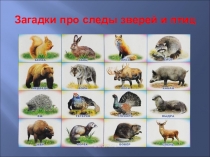 Презентация Загадки про следы животных и птиц