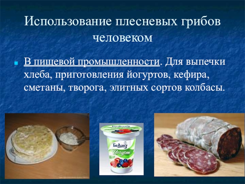 Плесень в пищевой промышленности. Использование грибов в пищевой промышленности. Использование плесневых грибов. Плесневые грибы использование в пищевой промышленности. В пищевой промышленности используется.