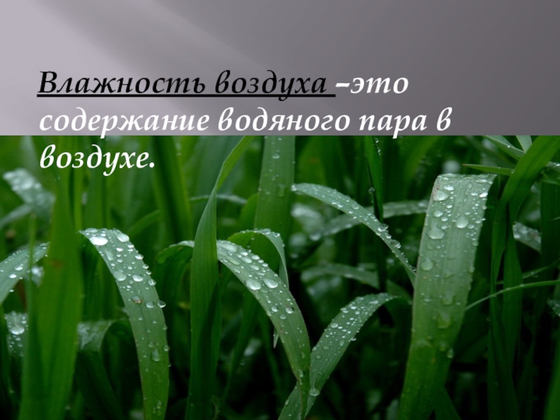 11 влажность воздуха. Влажность воздуха. Влажный воздух. Влажность воздуха гифки. Влажность воздуха фото для презентации.