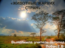 Животные Жарких Стран