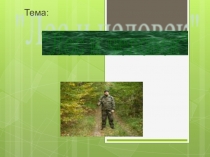 Презентация к уроку по окружающему миру  Лес и человек 4 класс