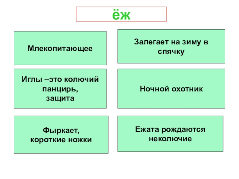 Еж спаситель бианки план рассказа