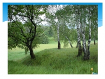 Наша Родина - Россия