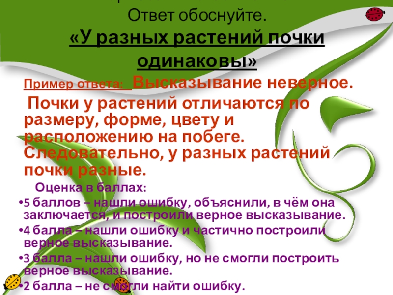 Обоснованный ответ