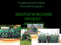 Презентация проект экологического лесного лагеря