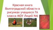 Презентация проекта на тему Красная книга Волгоградской области в рисунках учащихся МОУ Лицея №6.