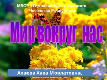 Презентация по окружающему миру во 2 классе Мир вокруг нас УМК Школа России ФГОС