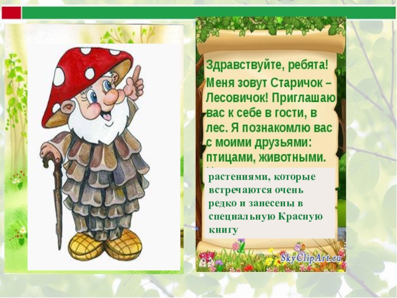 Природовед. Старичок Лесовичок зимой. Загадка старичок Лесовичок. Лесовичок стихи. Загадки лесовичка.