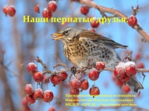 Презентация Наши пернатые друзья старшая группа