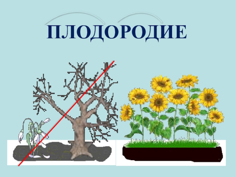 Добрые соседи кубановедение 3 класс презентация