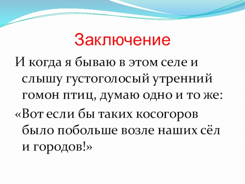 ЗаключениеИ когда я бываю в этом селе и слышу густоголосый утренний гомон птиц, думаю одно и то