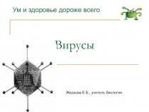 Презентация Вирусы (10 класс)
