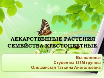 Презентация к уроку биологии на тему Семейство крестоцветные (7 класс)