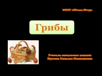 Урок окружающего мира. Тема : Грибы. 2 класс.