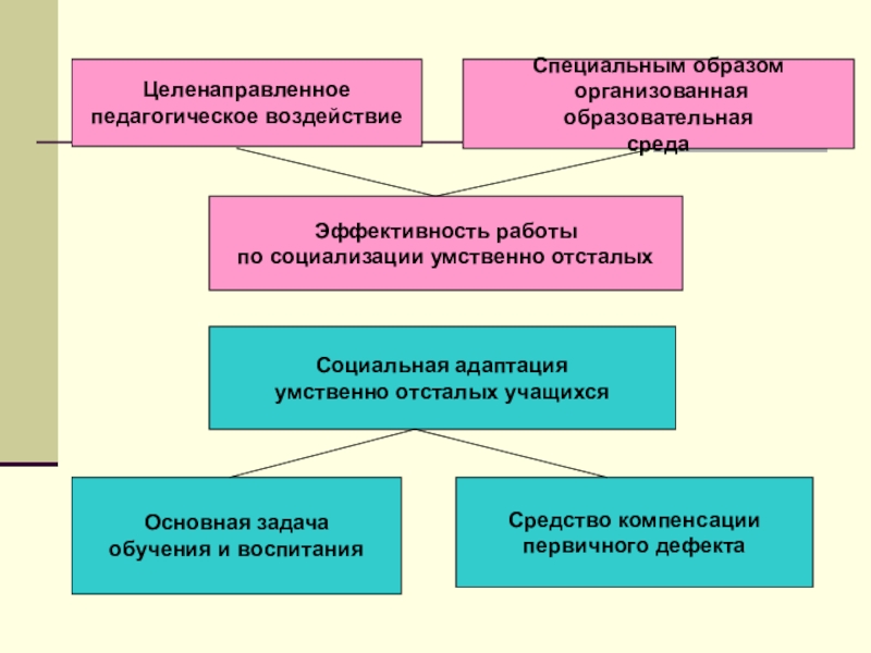 Проект социализация детей с умственной отсталостью