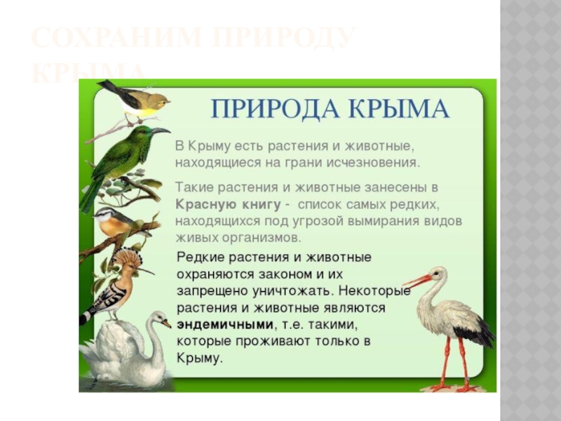 Картинка красная книга крыма