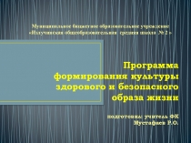 Программа формирования здорового и безопасного образа жизни