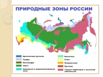 Презентация по окружающему миру на тему Природные зоны России (4 класс)