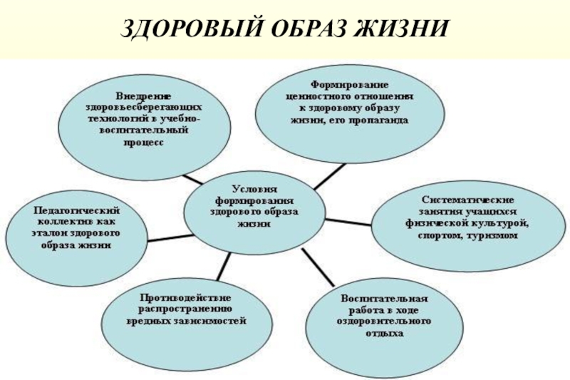 Формирование здорового образа жизни у школьников презентация