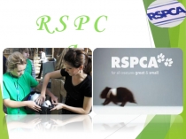Экологическая организация RSPCA