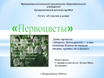 Отчет по экологической акции: Первоцвет