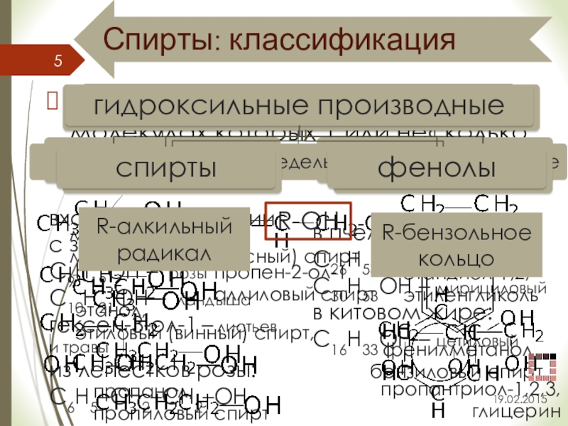 Кислородсодержащие органические соединения презентация 10 класс