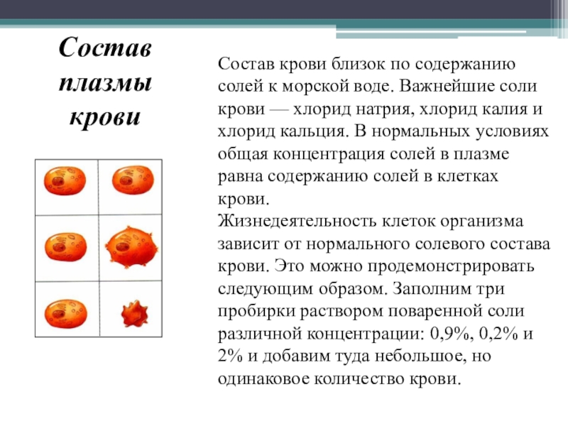 Содержание соли в крови человека