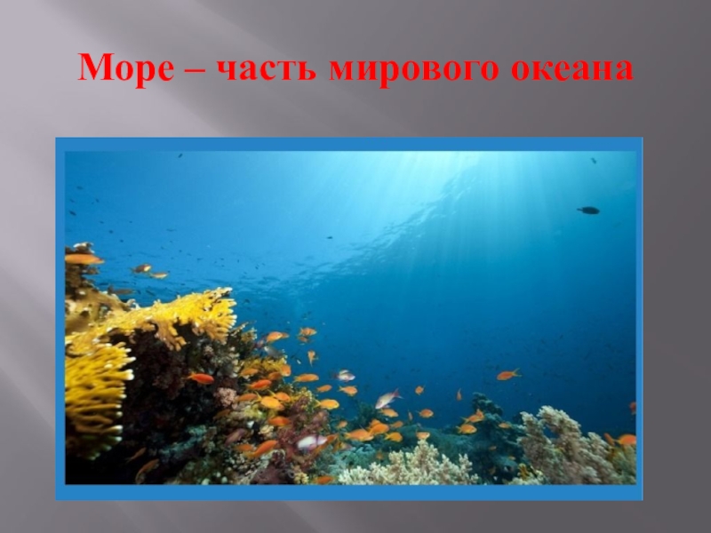 Части моря. Всемирный день моря презентация. Презентация на тему мировой океан. Море часть мирового океана. Моря мирового океана презентация.