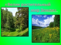 Презентация по биологии для 6 класса Зелёная аптека