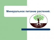 Презентация по биологии на тему: Минеральное питание растений.