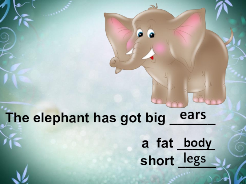 Has got a big. Презентация по английскому языку части тела животного. Elephants have got или has got big Ears. Elephants have got big Ears. An Elephant has got a.