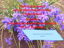 Презентация Зеленый рай любимой школы