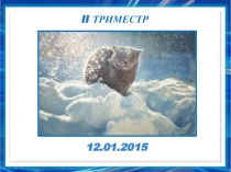 Презентация по алгебре на тему Решение задач с помощью квадратных уравнений (8 класс)