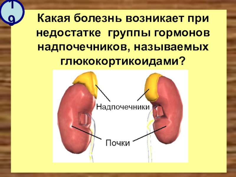 Болезнь надпочечников презентация