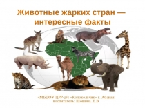 Интересные факты о животных жарких стран