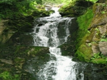 Презентация по окружающему миру на тему Природа