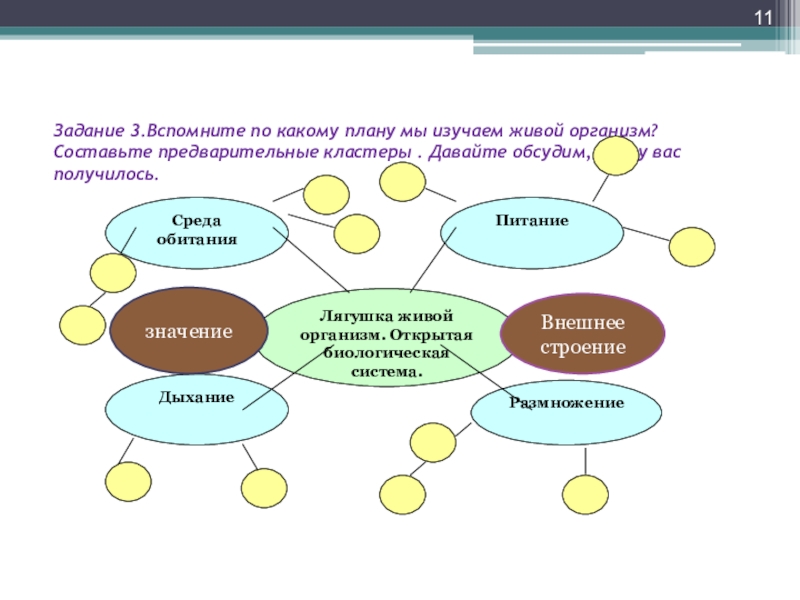 Открытая живая система. Кластер организм. Кластер живые организмы. Кластер на тему живые организмы. Кластер по биологии на тему земноводные.