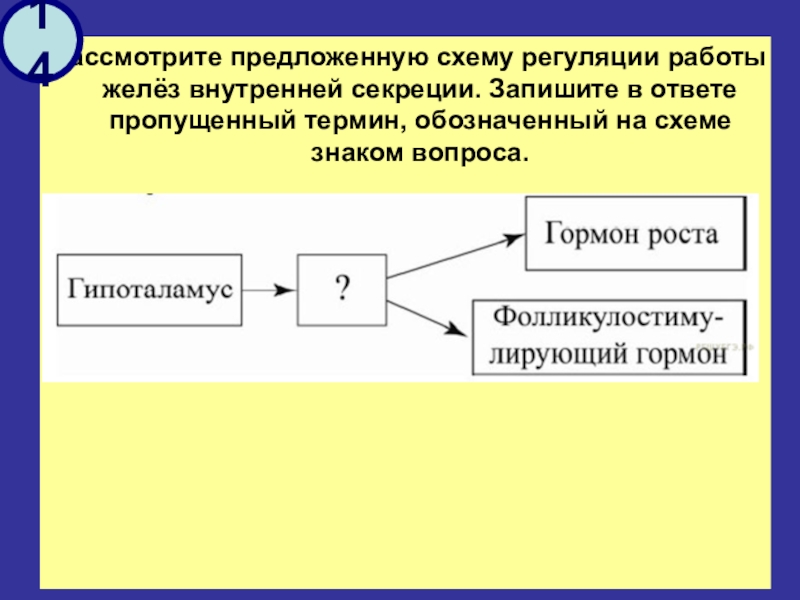 Рассмотрите предложенную схему запишите в ответе пропущенный термин обозначенный знаком вопроса