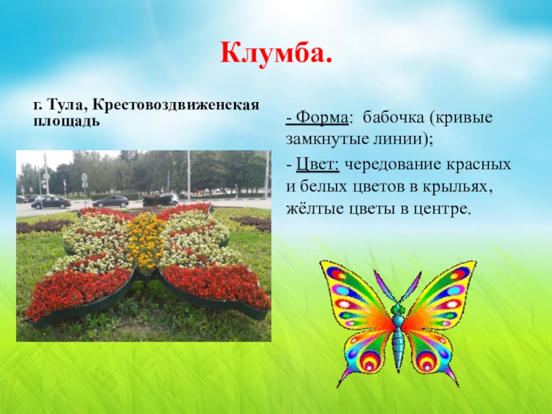 Проект клумба класса