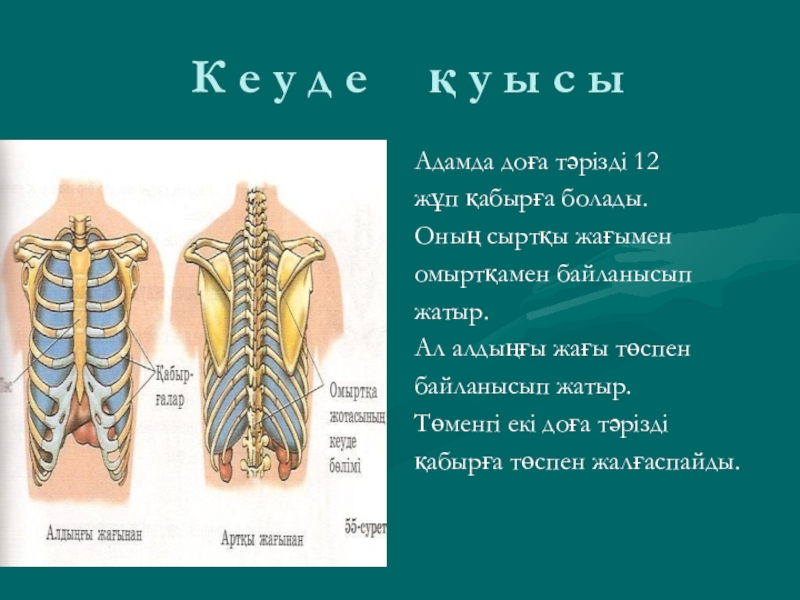 Кеуде жарақаттары презентация