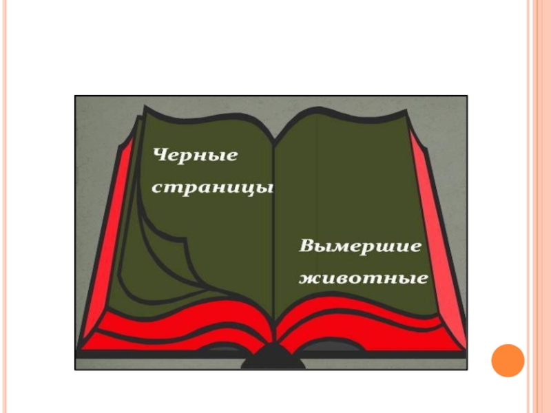 Республика книги. Красная книга Республики Марий Эл книга. Доклад красная книга Марий Эл. Красная книга Марий Эл презентация. Проект красная книга Марий Эл.