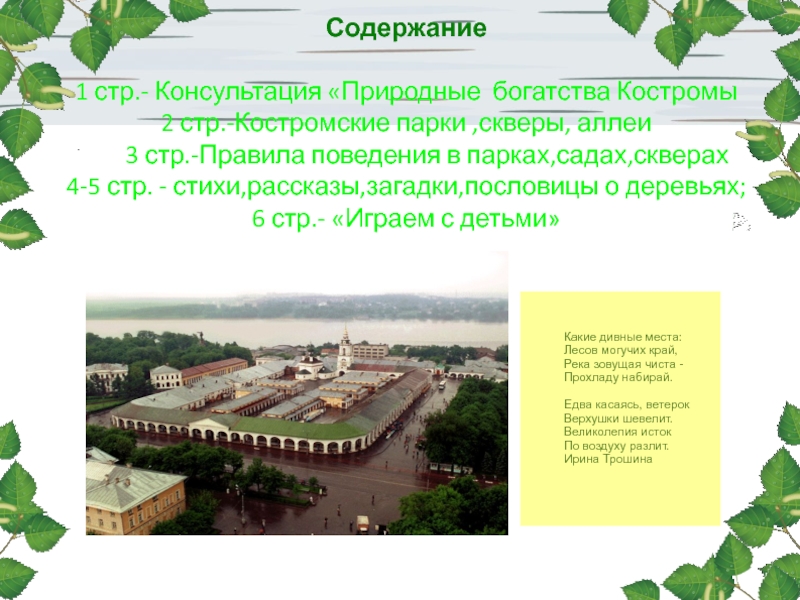 Город кострома доклад 3 класс. Проект город Кострома. Природные богатства Костромы. Природа Костромской области проект. Памятники природы Костромской области.