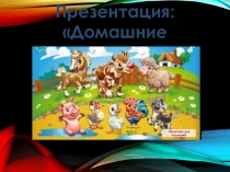 Домашние животные