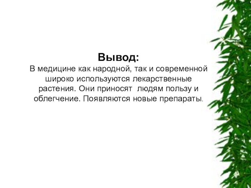 Растение вывод. Вывод о лекарственных растениях. Лекарственные растения заключение. Проект о лекарственных растениях вывод. Заключение проекта лекарственные растения.