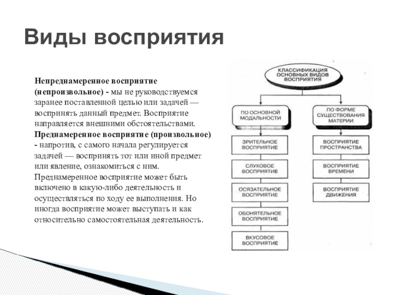 В своей деятельности руководители руководствуются заранее составленными планами