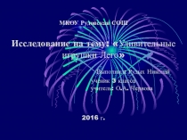 Исследовательская работа Удивительные игрушки LEGO