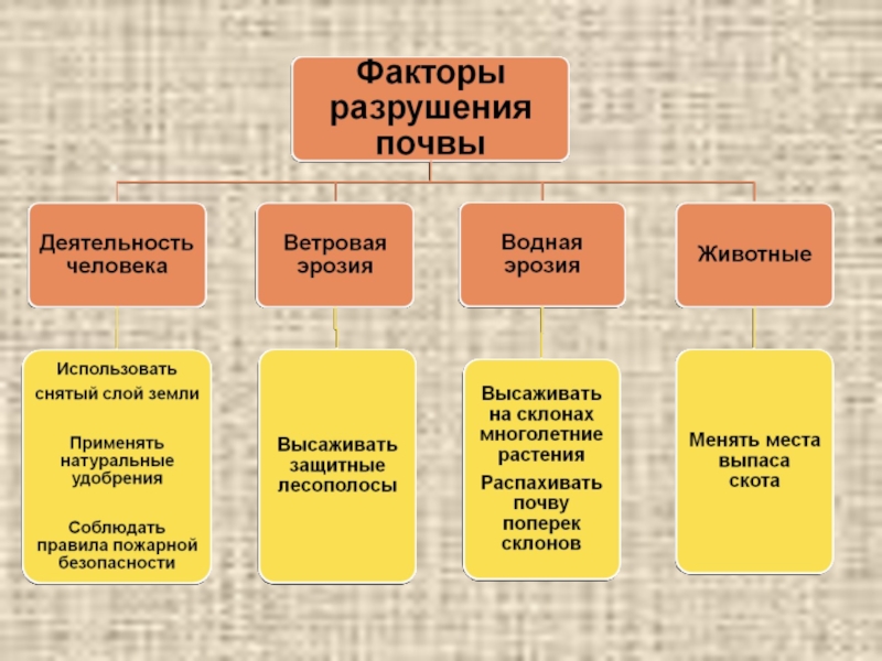 Причины и факторы разрушающие почву схема